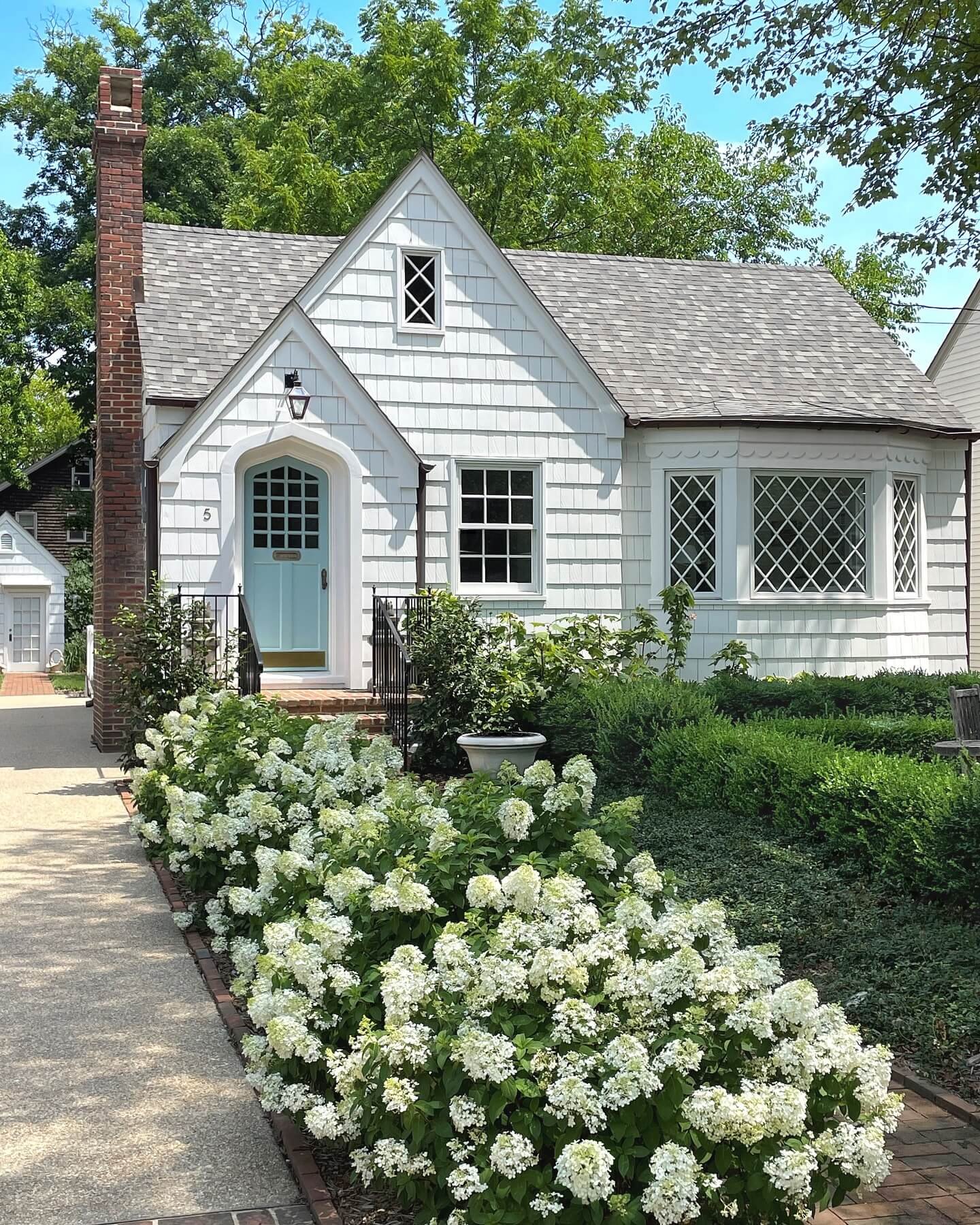 Create Serene Pathways with Hydrangeas