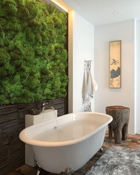 Harmonize Nature with Modern Design