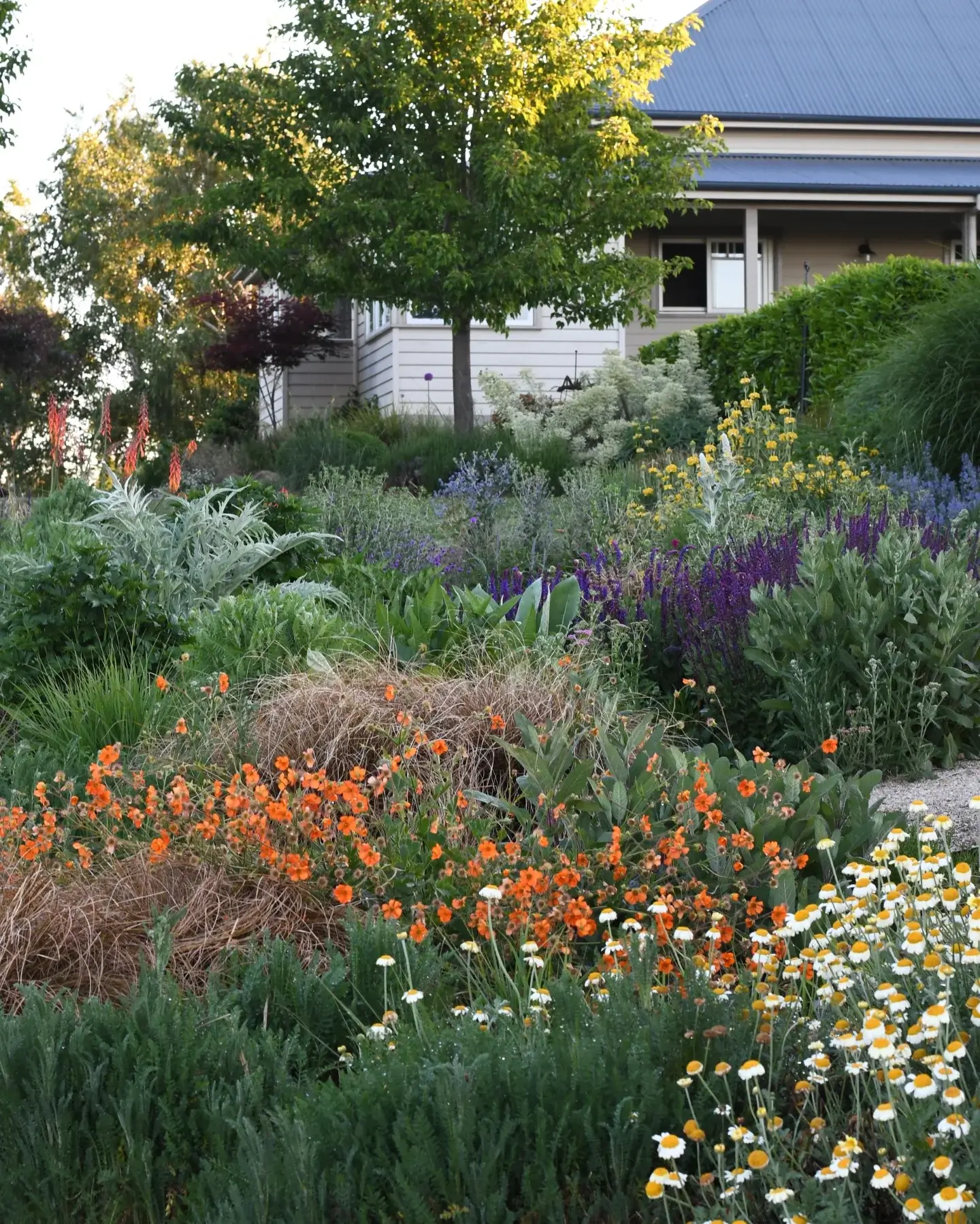 Layered Planting for Colorful Privacy