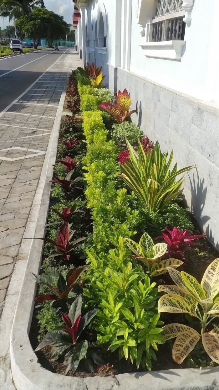 Layered Plantings for Vibrant Appeal