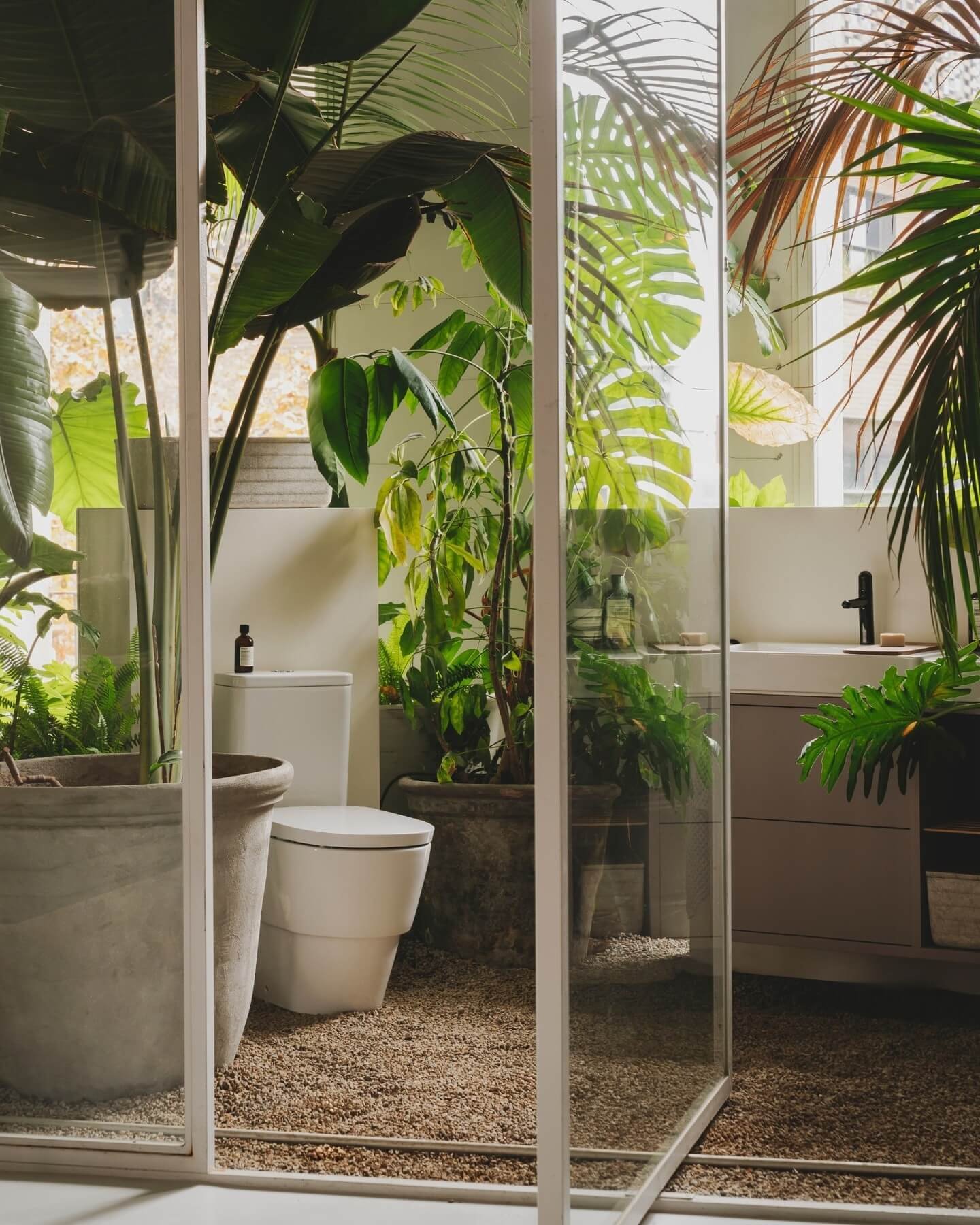 Tropical Plants Enhance Serenity