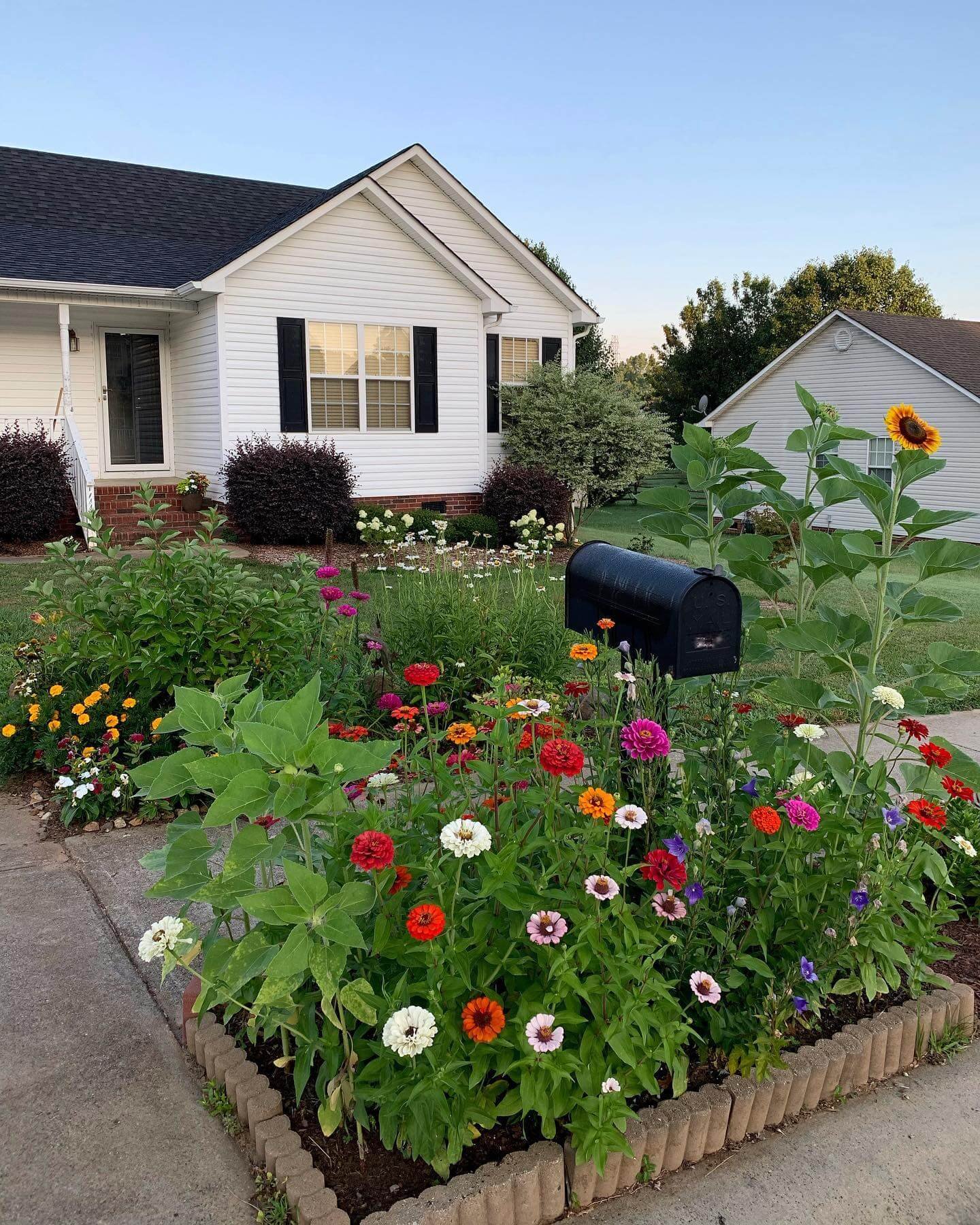 Vibrant blooms enhance curb appeal