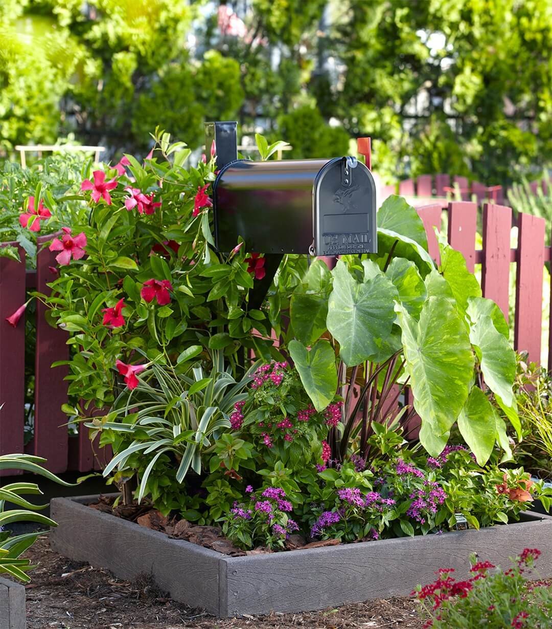 Vibrant flowers and lush greens